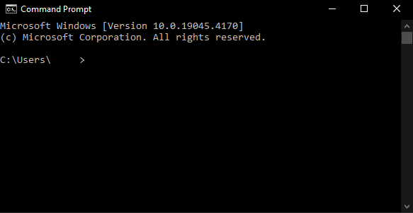 terminal for Windows2